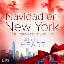 Navidad en Nueva York - un relato corto erótico